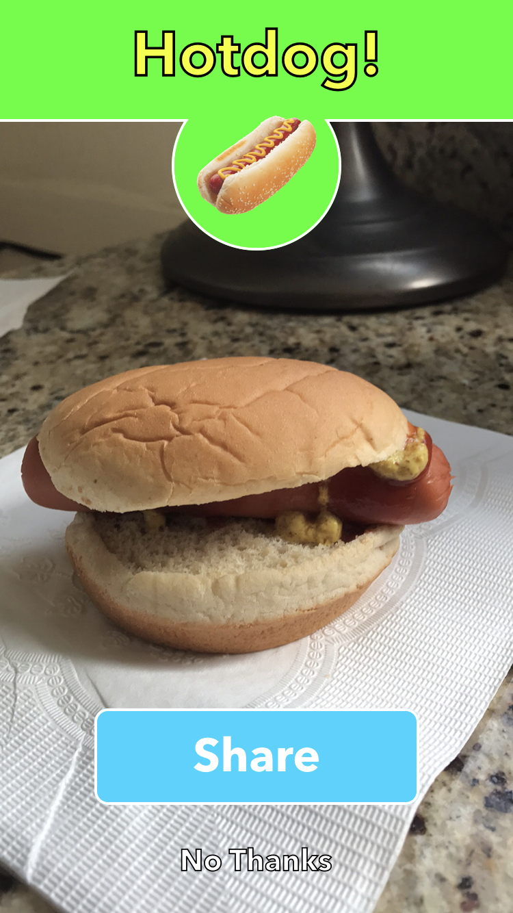 hotdog in a hamburger bun